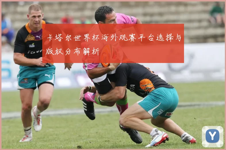 卡塔尔世界杯海外观赛平台选择与版权分布解析