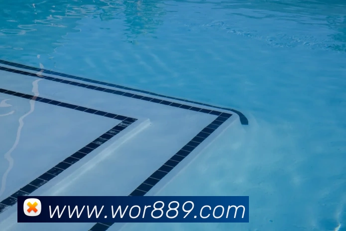 多媒体互动体验